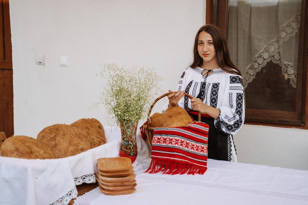 Casa Brutarului Crit Hotel Kültér fotó